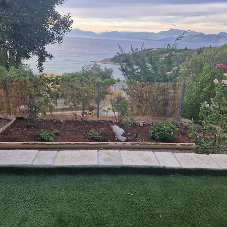 アパート Fatiras *